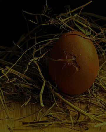 Begin van een leven.