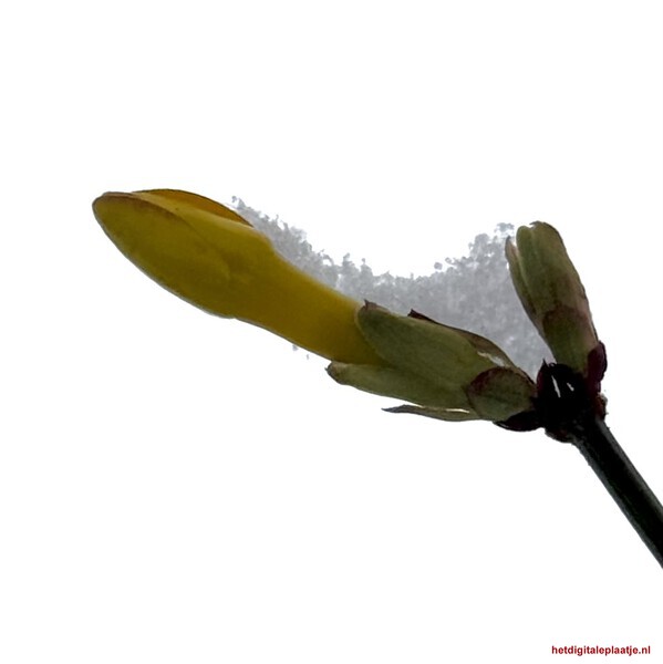 Het begin van iets moois…