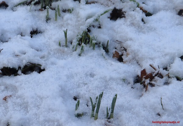 brrr.... nog veel te koud..