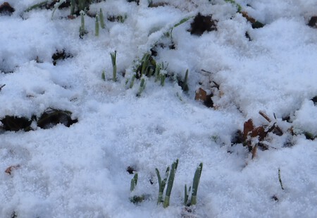 brrr.... nog veel te koud..