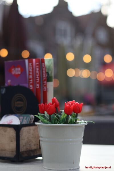 Verlangen naar het voorjaar.