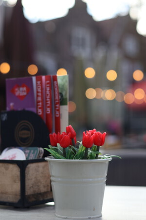 Verlangen naar het voorjaar.