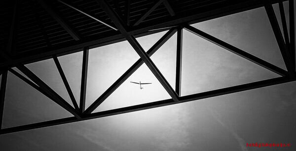 Vrijheid tussen de lijnen