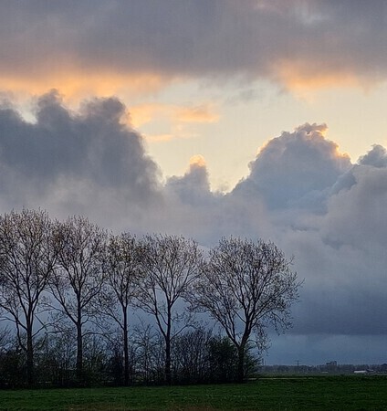 Sunny Evening Clouds